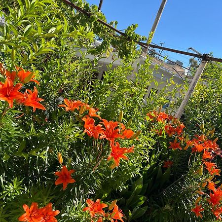 Villa Green Vlorë Εξωτερικό φωτογραφία